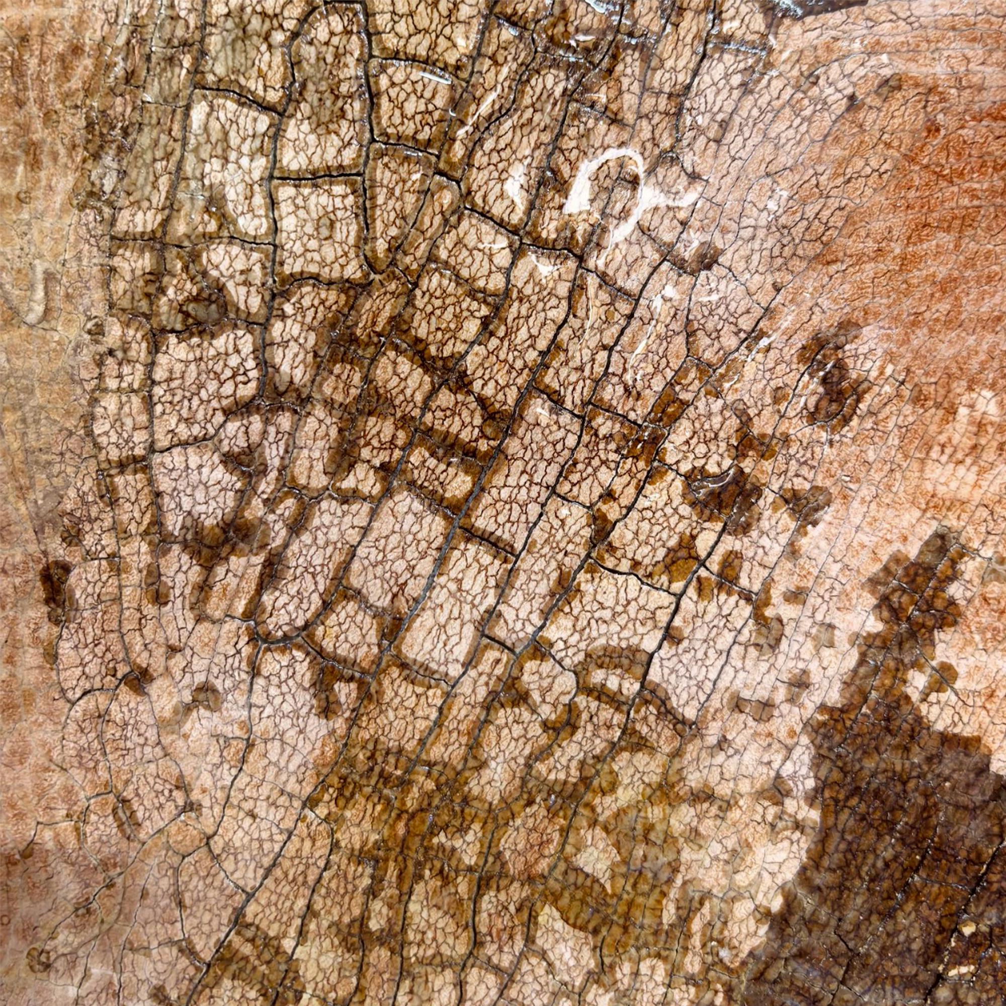 Elegant Earth-toned Abstract Oil Painting - View 3